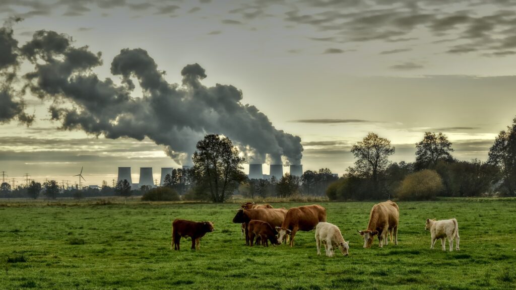 Has the “disinformation” clampdown switched from COVID to climate change? 1 Has the “disinformation” clampdown switched from COVID to climate change? NZNE