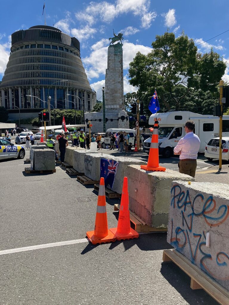 The unknown story of the Parliament protest: Part 1 NZNE