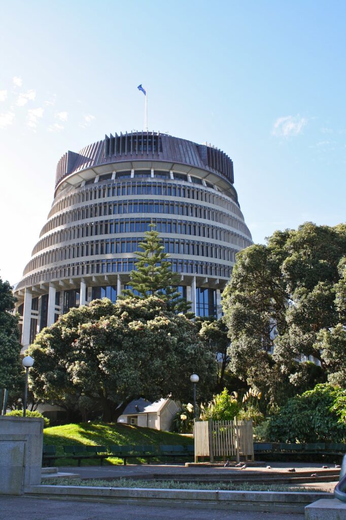 ACT or National voters can possibly get a 3-for-1 for their party vote   NZNE