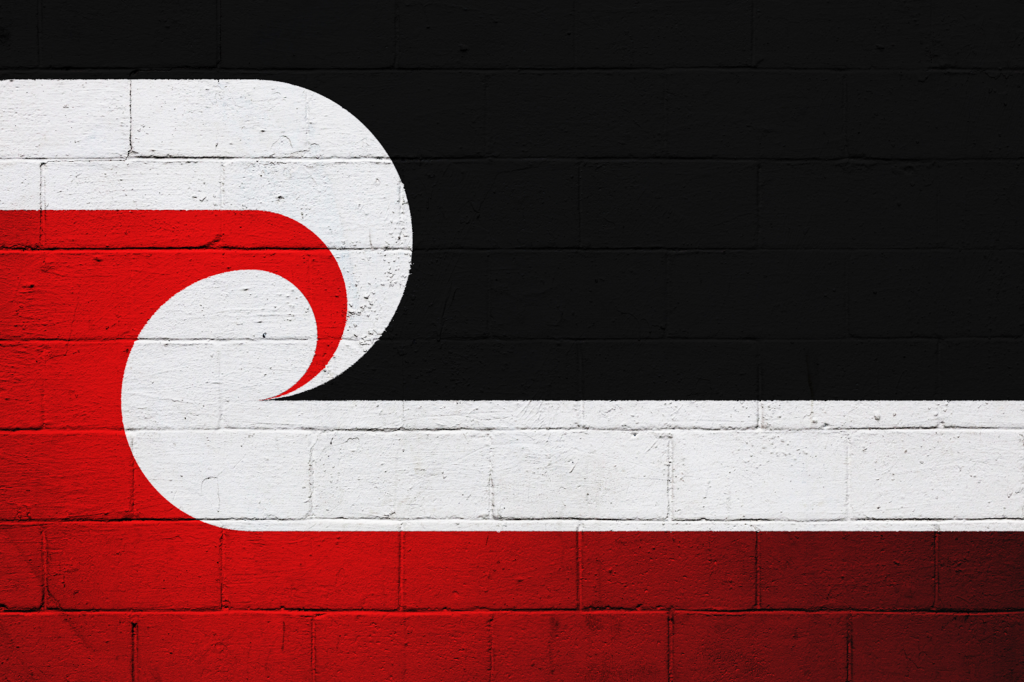 How does the Government identify who is Māori? NZNE