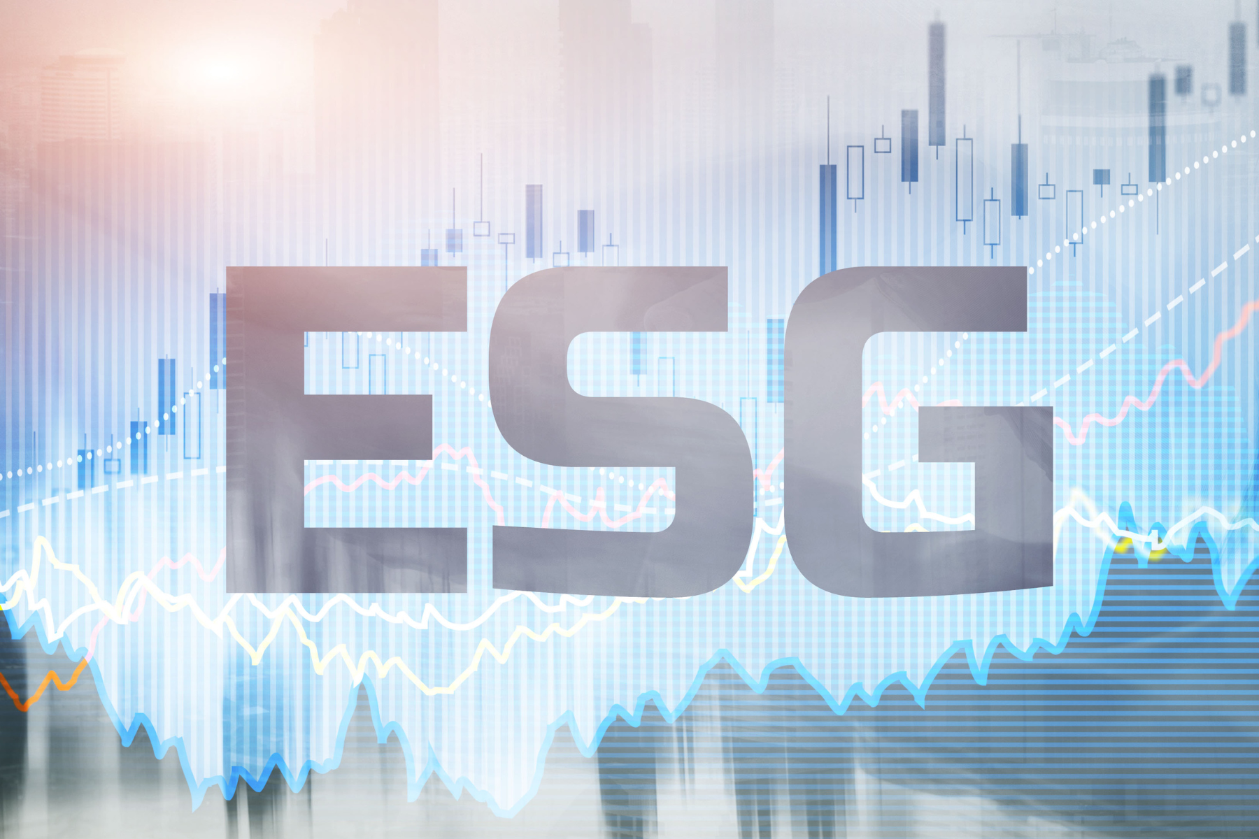 Fuzzy criteria means ESG is always going to be subjective